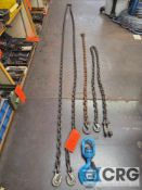 Assorted chain and hook