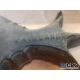 Antique items - Image 5 of 7