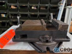 Asst. Vice with Swivel Base