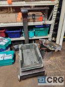 Fairbanks portable platform scale