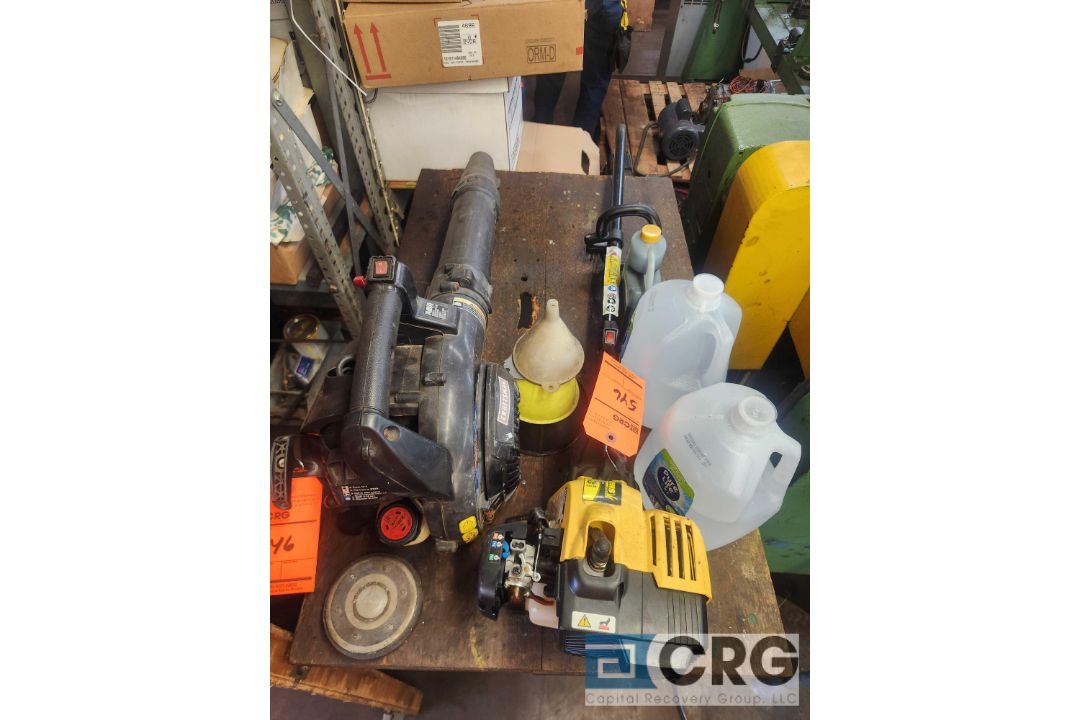 Craftsman gas powered hand held leaf blower, and Bolens gas powered weed eater