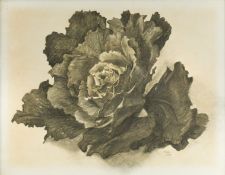 § Nan Youngman OBE (1906-1995)