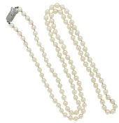 Mikimoto - A single strand cultured pearl necklace, approximate diameter of pearls from 5.5 to