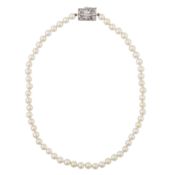 A single strand pearl necklace White metal