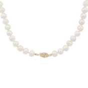 A single strand pearl necklace Yellow metal