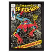 Lee (Stan) The Amazing Spiderman