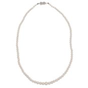 A single strand pearl necklace 9ct white gold