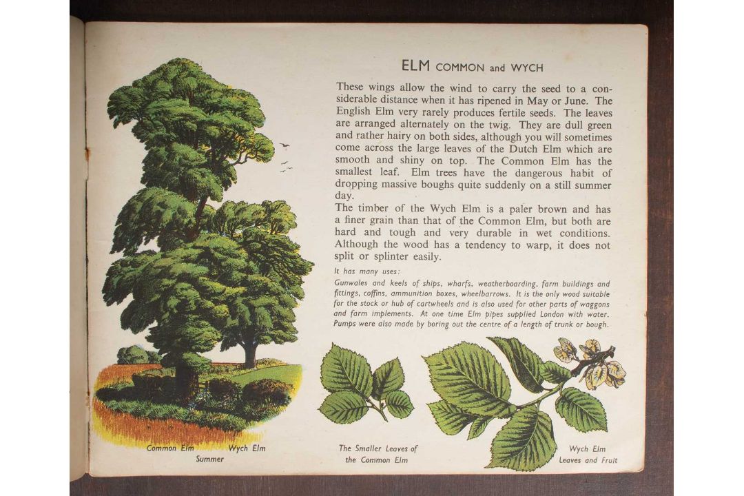 [Puffin Picture Books] - Image 2 of 9