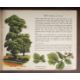 [Puffin Picture Books] - Image 2 of 9