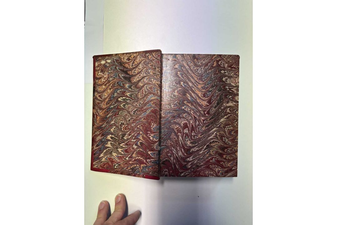 [Natural History] - Image 5 of 16