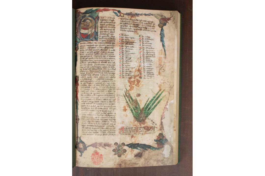 [Folio Society] Tractatus de Herbis - Image 2 of 4