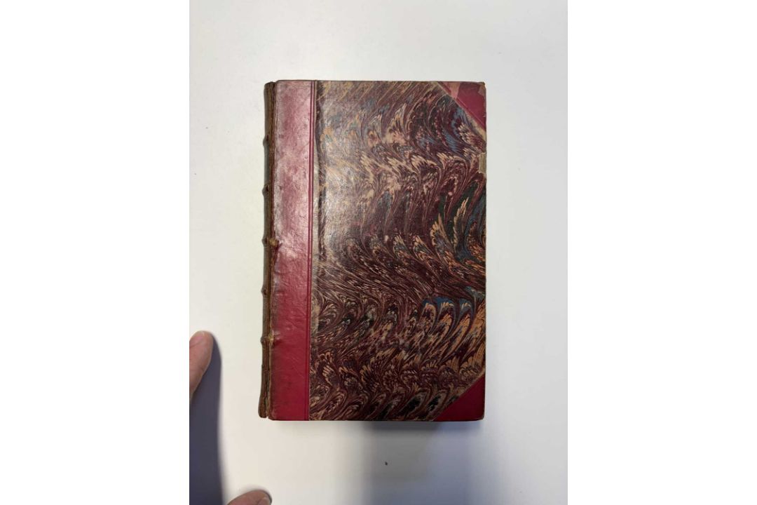 [Natural History] - Image 3 of 16