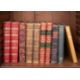 [Bindings] - Image 1 of 4