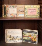 [Puffin Picture Books]