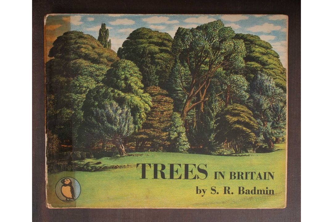 [Puffin Picture Books] - Image 3 of 9