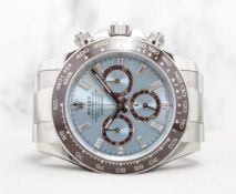 2025 Daytona Platona Oyster