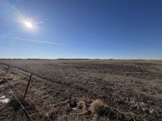 Tr. 1A – The South +/-139.01 Acres