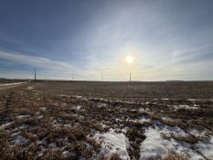 +/-154.76 Acres of Unimproved Rose Dell Twp., Rock Co., MN Land