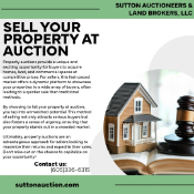 TERMS & CONDITIONS - DO NOT BID ON THIS LOT