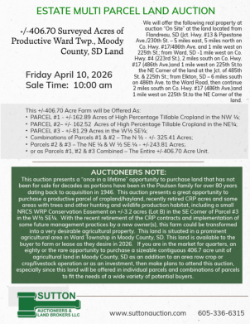 Paulsen - +/-406.70 Acres of Surveyed Unimproved Ward Twp., Moody Co., SD Land