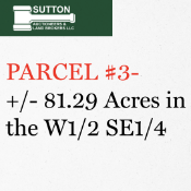 PARCEL #3 - +/-81.29 Acres of Surveyed Ward Twp., Moody Co., SD Land
