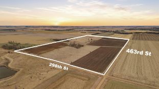 +/-81.86 Acres of Riverview Twp., Clay Co., SD Land