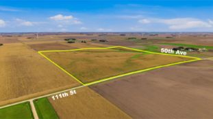 +/-160 Acres of Productive Beaver Creek Twp., Rock Co., MN Land