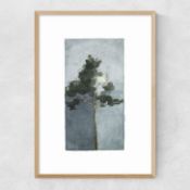 East End Prints East End Prints The Pine III by JÃ¶rgen Hansson 25x30 Black Framed Art Print RRP £50