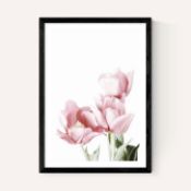 East End Prints East End Prints Tulips by Sisi and Seb 30x40 White Framed Art Print RRP Â£60.00 - EA