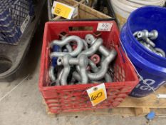 ASSORTED SHACKLES