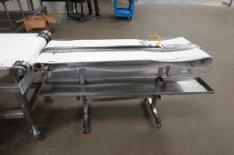 Dual lane belt conveyor