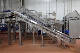 2023 Cozzini SS incline transfer belt conveyor
