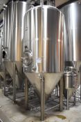 SPECIFIC MECHANICAL SYSTEMS 30 BARREL STAINLESS STEEL JACKETED FERMENTING TANK WITH 1171 GALLON,