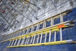LOT/ (2) FIBREGLASS EXTENTION LADDERS