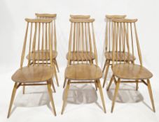 Set of six Ercol pale beech and elm Goldsmith dining chairs, model no. 369, 98cm high x 42cm wide