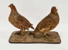 Pair of taxidermy red grouse mounted together on a naturalistic base, uncased, 27cm high