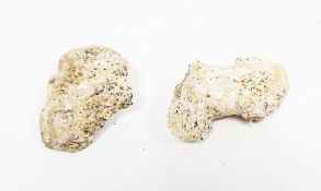 Two bone fragments by repute from Ghar Dalam Malta GC, largest 7cm long (2)