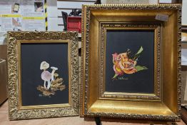 Delia Portsmouth Oil on board Study of a rose with butterfly, signed lower left, together with