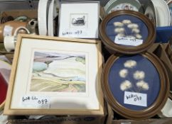 Ivan Belchambers  Oil on card  