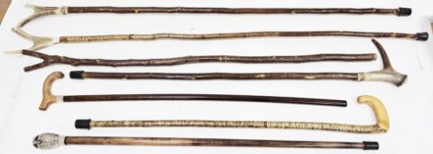 Two stag horn thumb shepherd’s crooks, another shepherd’s crook, six walking sticks, one with handle