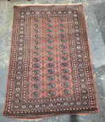 Eastern salmon ground rug with three rows of 13 elephant foot guls and two rows of 12 geometric