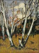G. Gosztonyi (20th century) Oil on canvas Study of silver birch trees, signed lower right, 41cm x