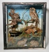 Late 19th / early 20th century cased taxidermy display of animals and birds within a naturalistic
