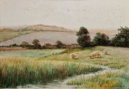 George Oyston (1861-1937) Watercolour Sheep grazing in field, signed and dated 1915 lower right,