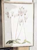 Set of three Oka floral prints, all framed and glazed, overall 66cm x 47cm