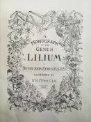 Botany - Elwes, Henry John - Fitch, W H (ills) 