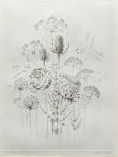 Katherine Caddick  Artists proof print 