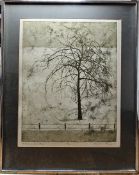 Daphne Pepper Artists proof print 