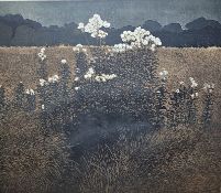 Philip Greenwood  Limited edition print 