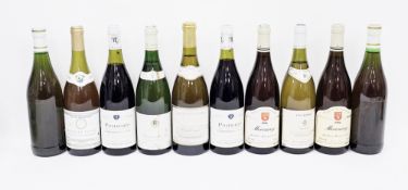 Ten bottles of various wines to include Les Charmes Pouilly Fume, 2 x 1996 Mercury Bourgogne,